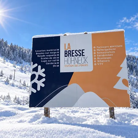 Ma Montagne Chic 6 * La Bresse